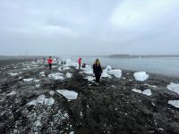Spaziergang am Strand – Diamond Beach