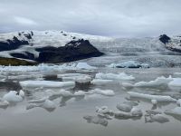 Fahrt zur Gletscherzunge Fjallsárlón 