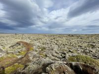 Blick auf das Lavafeld Eldhraun 