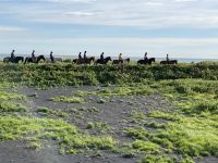 Spaziergang am Strand von Vik