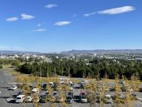 Zurück in Rejykavik