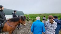 Rundreise Island - Besuch beim Islandpferdehof