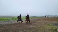Rundreise Island - Besuch beim Islandpferdehof / Vorführung Tölt