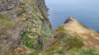 Rundreise Island - Fotostopp bei den Puffins (Papageitaucher)