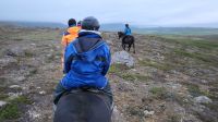 Rundreise Island - Reitausflug mit Islandpferden bei Akureyri