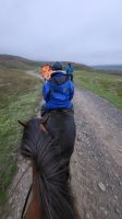 Rundreise Island - Reitausflug mit Islandpferden bei Akureyri