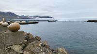 Rundreise Island - Steineier in Djúpivogur