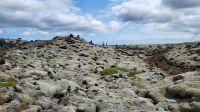 Rundreise Island - Stopp am Lavafeld
