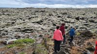 Rundreise Island - Stopp am Lavafeld