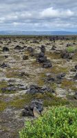 Rundreise Island - Stopp am Steinhaufen-Feld