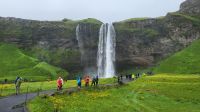 Rundreise Island - Stopp am Seljalandsfoss