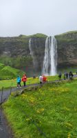 Rundreise Island - Stopp am Seljalandsfoss