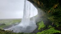 Rundreise Island - Stopp am Seljalandsfoss