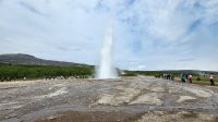 Rundreise Island - Ausflug Goldener Kreis // Strokkur