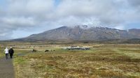 Rundreise Island - Halbinsel Snæfellsnes