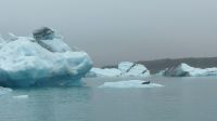 Rundreise Island - Bootsfahrt in der Gletscherlagune Jökulsarlon