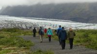 Rundreise Island - Spaziergang zum Skaftafell-Gletscher