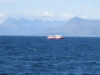 Ausflugsboot zur Walbeobachtung