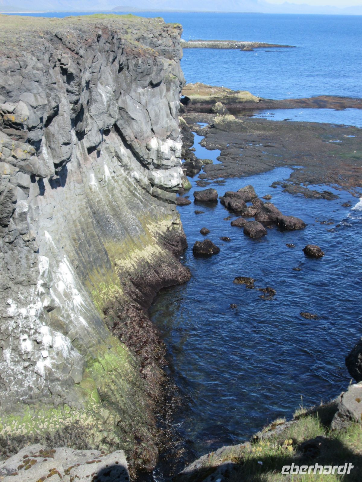 Vogelfelsen bei Arnarstapi