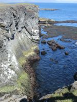 Vogelfelsen bei Arnarstapi