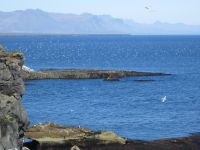 Küste bei Arnarstapi