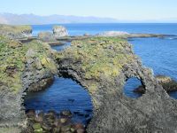 Felsen bei Arnarstapi