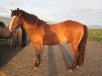 ...nach getaner Arbeit