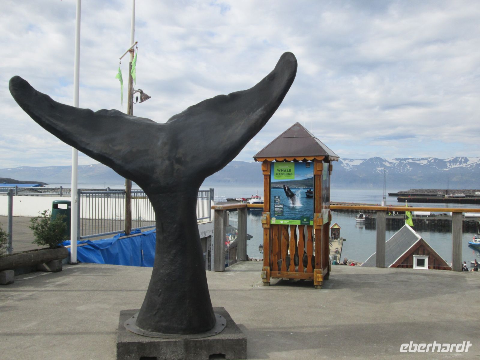 Husavik, Ort für Walsafaris