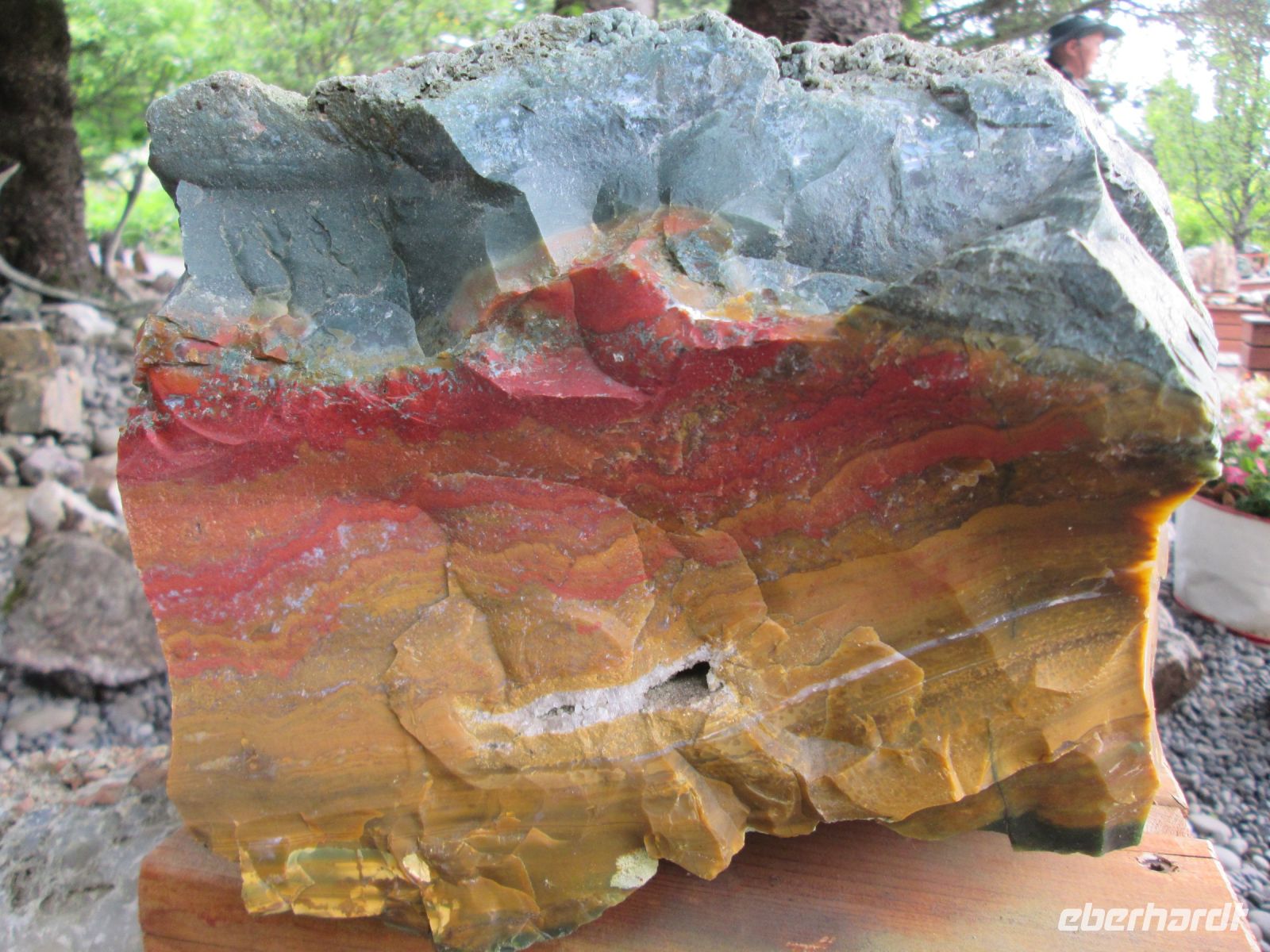 Petras Steinesammlung