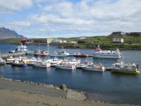 Hafen Djupavogur