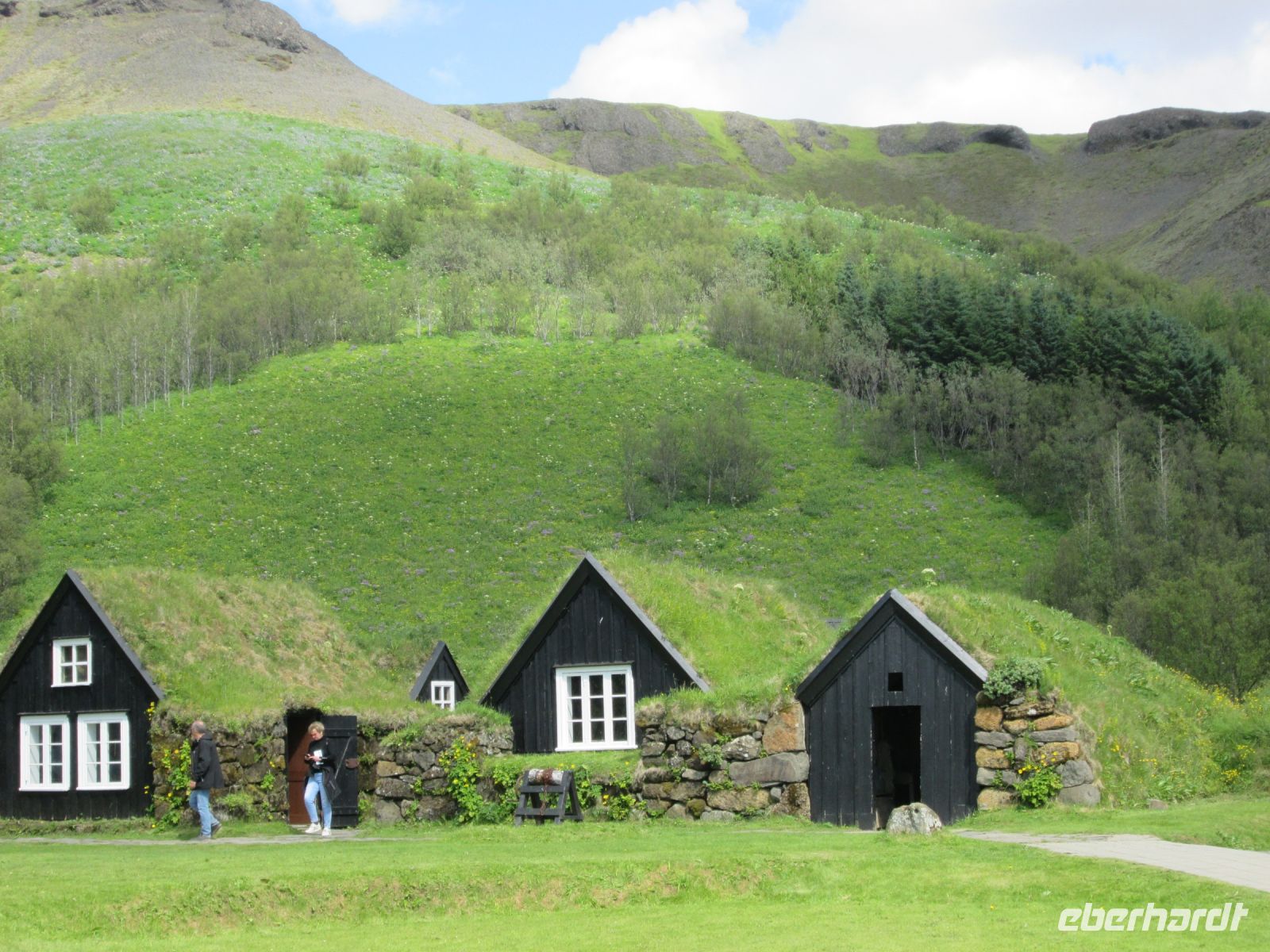 Grassodenhäuser im Museumskomplex Skogar