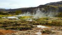 Island Rundreise: Geysir.