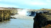 Island Rundreise: Selfoss.