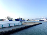 Rundreise Island - Bootsfahrt Walsafari