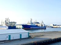 Rundreise Island - Bootsfahrt Walsafari