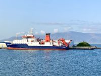 Rundreise Island - Bootsfahrt Walsafari