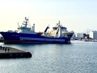 Rundreise Island - Bootsfahrt Walsafari