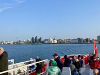 Rundreise Island - Bootsfahrt Walsafari