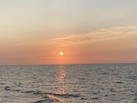 Rundreise Island - Bootsfahrt Walsafari