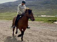 Rundreise Island - Pferdehof Lyttingsstadir