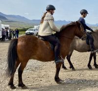 Rundreise Island - Pferdehof Lyttingsstadir
