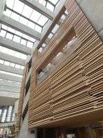 Rundreise Island - Akureyri