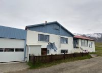 Rundreise Island - Pferdefarm Polarhestar