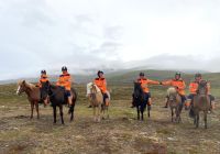 Rundreise Island - Pferdefarm Polarhestar