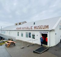 Rundreise Island - Husavik