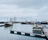 Rundreise Island - Husavik