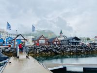 Rundreise Island - Husavik