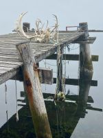 Rundreise Island - Eskifjörður