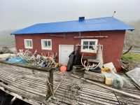 Rundreise Island - Eskifjörður