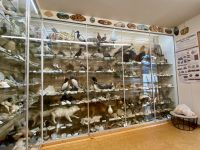 Rundreise Island - Stödvarfjördur Petras Steinhaus